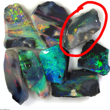 Load image into Gallery viewer, Firework Asteria Australian Black Opal Stud in 14k