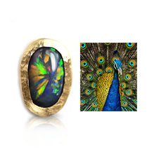 Load image into Gallery viewer, Firework Asteria Australian Black Opal Stud in 14k